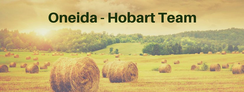 Oneida-Hobart Neighborhood Team