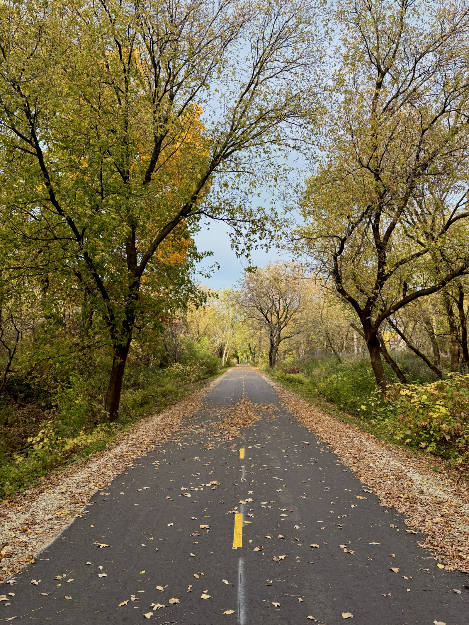 fox river trail in fall